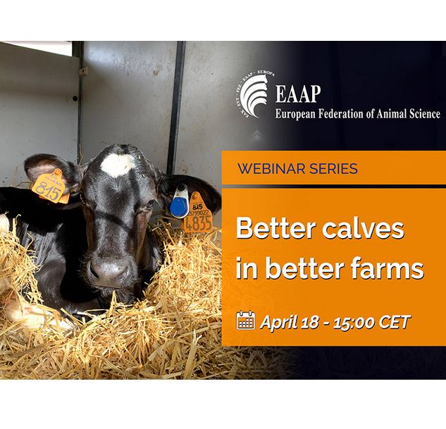 Better calves in better farms